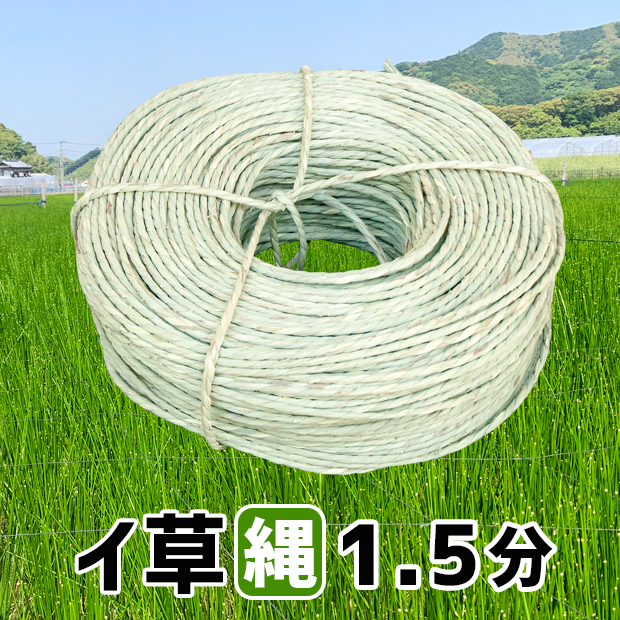イ草縄１.５分(５mm)：２.５kg：２５０m