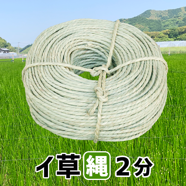 イ草縄２分(６mm)：２.５kg：１４５m