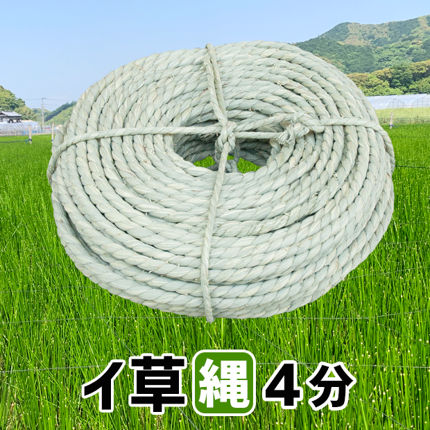 イ草縄４分(12mm)：３.５kg：７０m